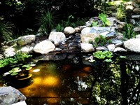 Stormwater Management Projects - 1: 