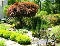 Pool areas and Water Features - 1: 