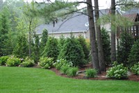 Borders and Buffer Projects - 5: 