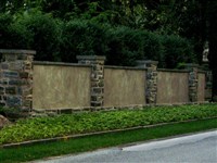 Borders and Buffer Projects - 7: 