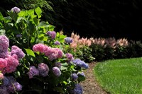 Borders and Buffer Projects - 12: 