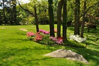 Borders and Buffer Projects - 13: 