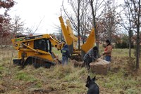 Plant and Tree Relocation - 10: 