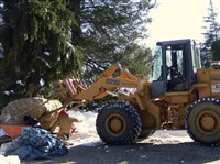 Plant and Tree Relocation - 12: 