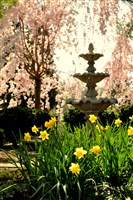 Pool areas and Water Features - 10: 