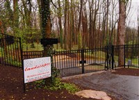 Borders and Buffer Projects - 19: 