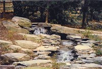 Water Features - 15: 