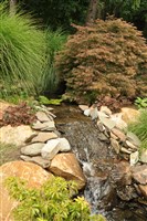 Pool areas and Water Features - 11: 