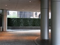 Borders and Buffer Projects - 21: 