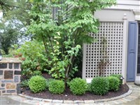 Construction and Excavation Projects - 5: 