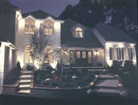 Landscape Night Lighting - 3: 