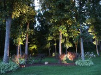 Landscape Night Lighting - 5: 